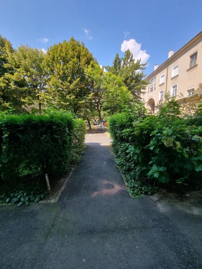 Ultra-Central 1 Bed Apartment, Str Nicolae Iorga Baia Mare Exteriér fotografie