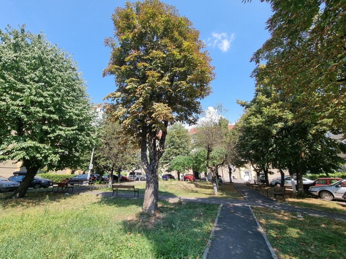 Ultra-Central 1 Bed Apartment, Str Nicolae Iorga Baia Mare Exteriér fotografie